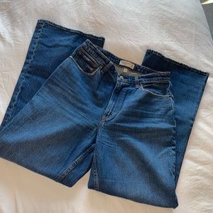 Abercrombie & Fitch Curve Love Vintage Flare High Rise size 30 / 10 Regular